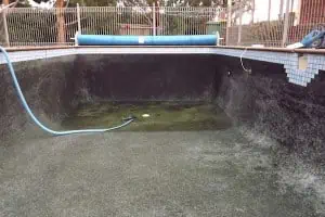 pool cleaning