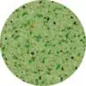pebble-pool-finish-green-circle